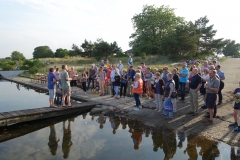 2017-07-07 18-15-26_0044