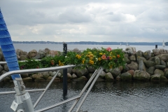 2017-07-08 08-16-40_0123